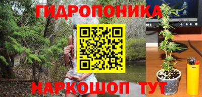 дживик Свободный
