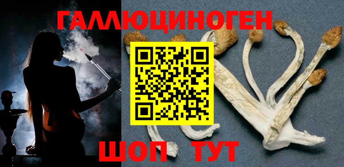 Новочебоксарск  Гашиш  Кокаин  Героин  Вход с VPN  Сколько стоит  Марихуана  МЕТ  ГАШИШ  Меф МЯУ МЯУ  