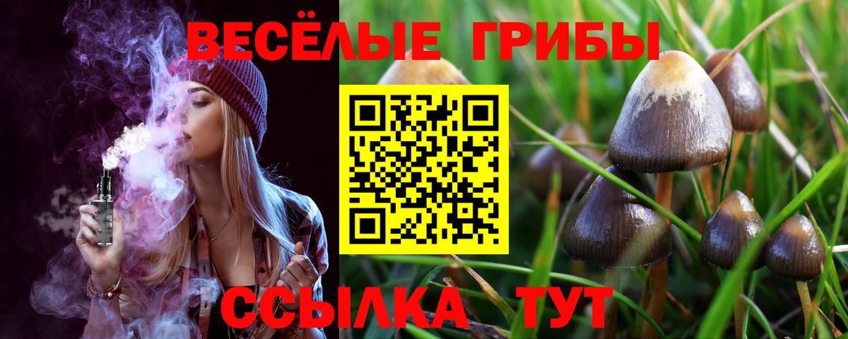 Псилоцибиновые грибы Magic Shrooms Новочебоксарск