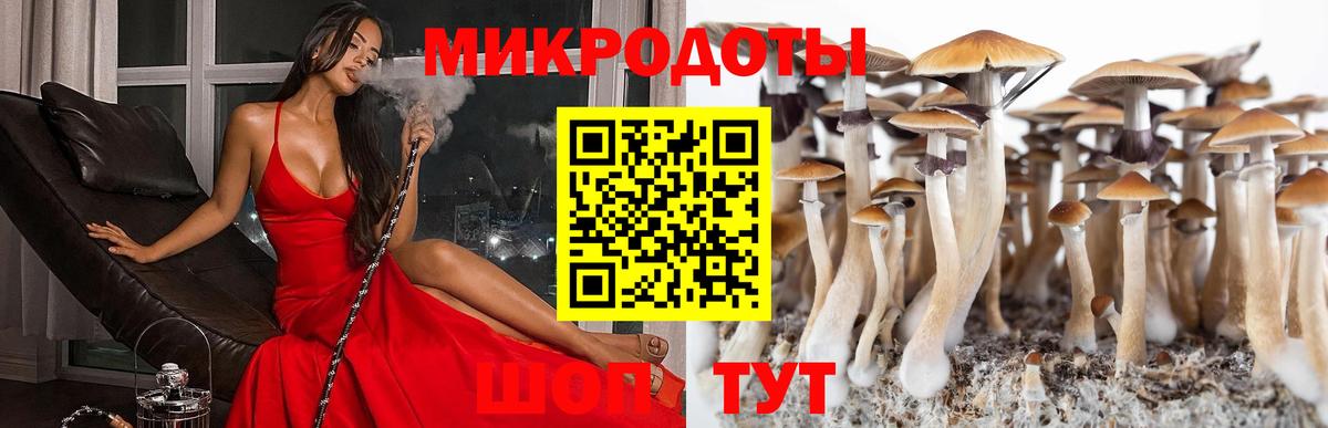 Псилоцибиновые грибы ЛСД  Вход с VPN  Новочебоксарск  Псилоцибиновые грибы мухоморы 